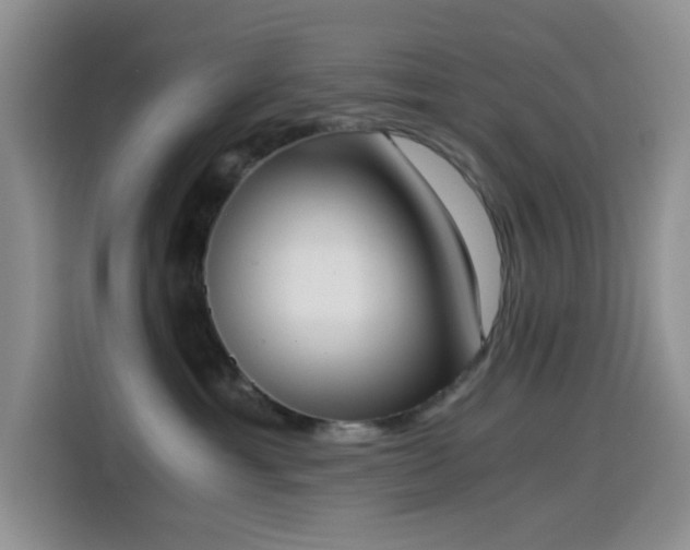 X0000114590429200910191601