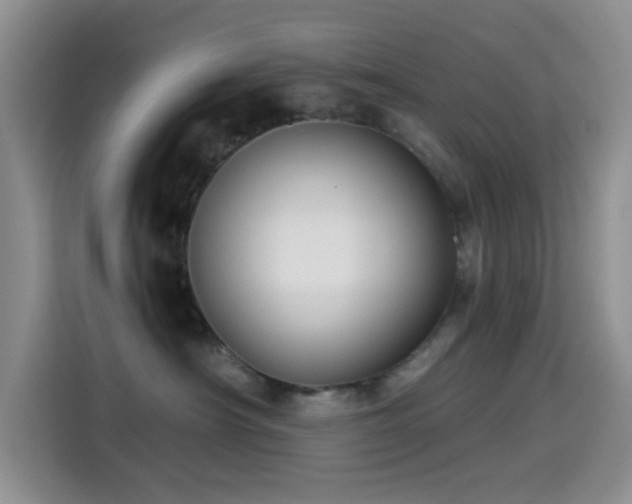 X0000114590430200910191601