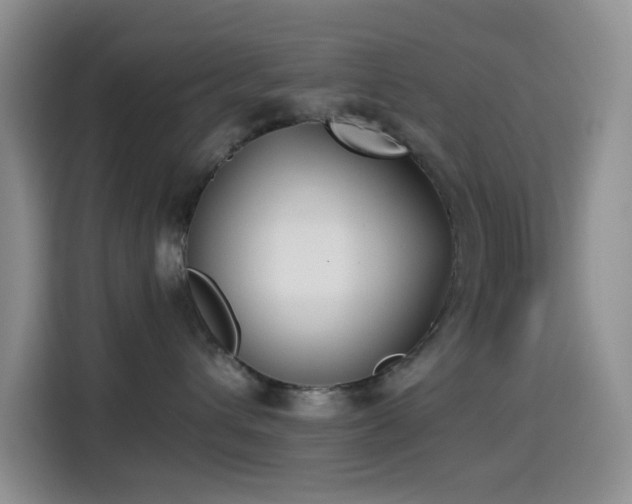 X0000114590432200910191601