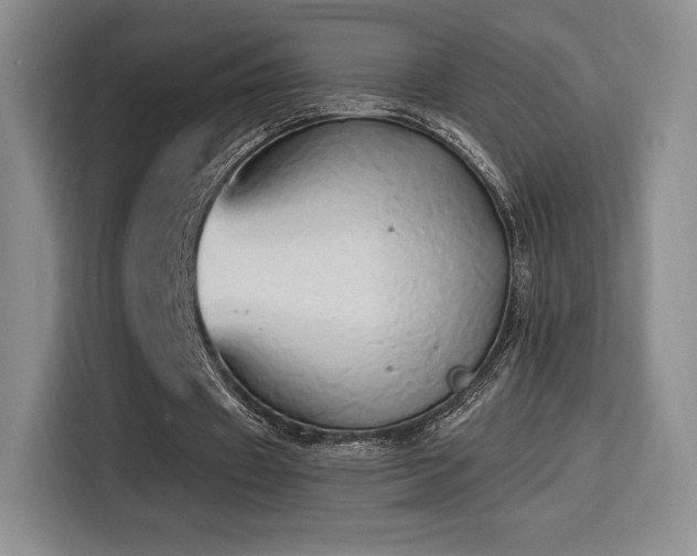 X0000114590433200910191600