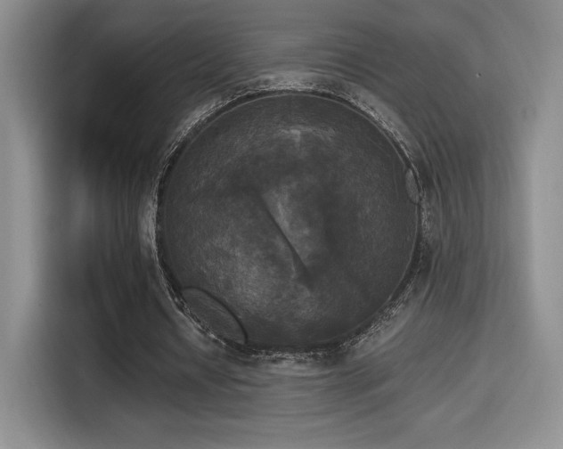 X0000114590434200910191600