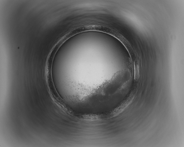 X0000114590435200910191600
