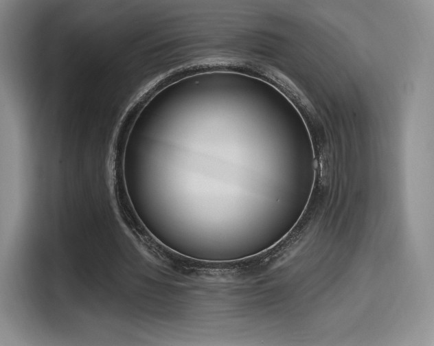 X0000114590436200910191600