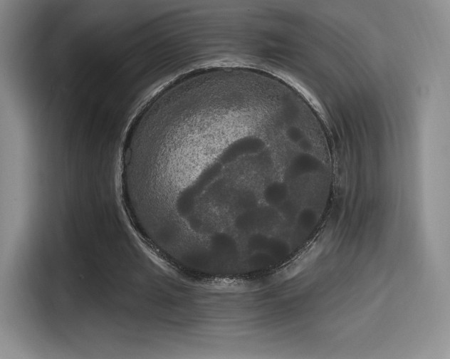 X0000114590437200910191600