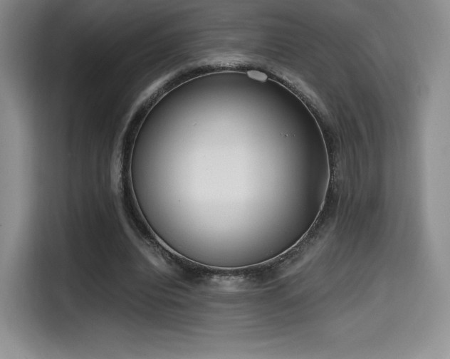X0000114590440200910191600