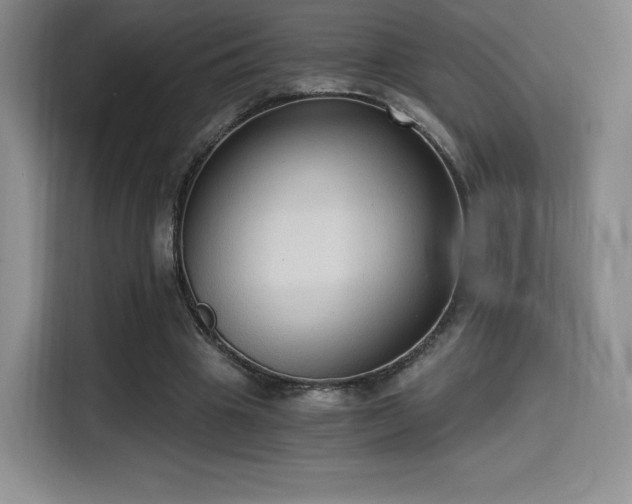 X0000114590441200910191600