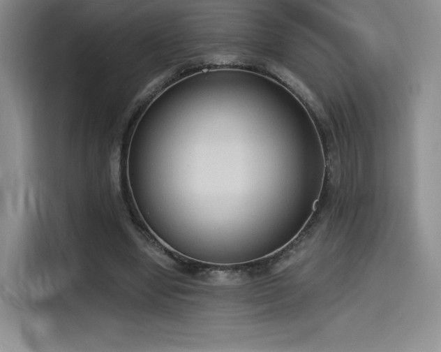 X0000114590442200910191600
