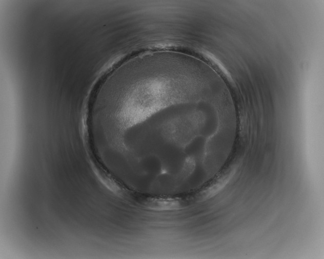 X0000114590443200910191600