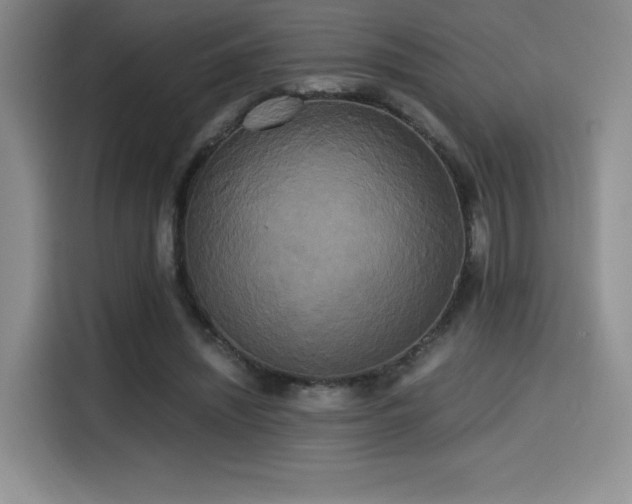 X0000114590444200910191600