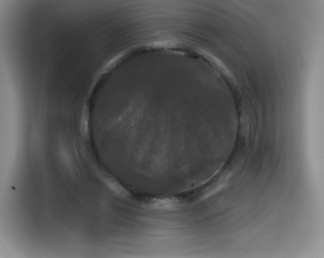 X0000114590446200910191600