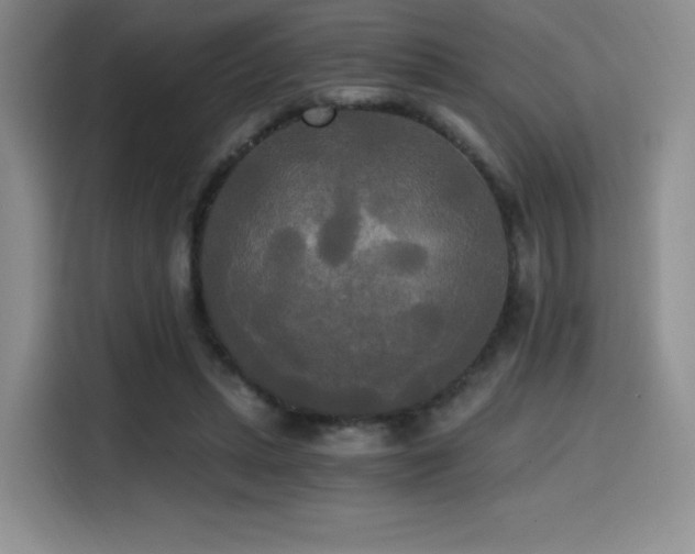 X0000114590447200910191600