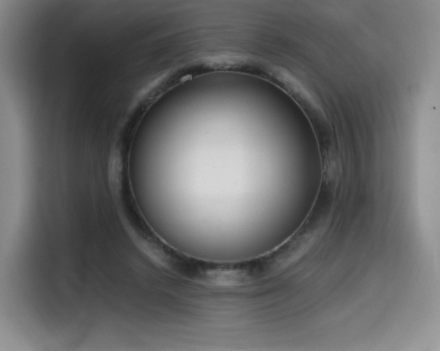 X0000114590448200910191600