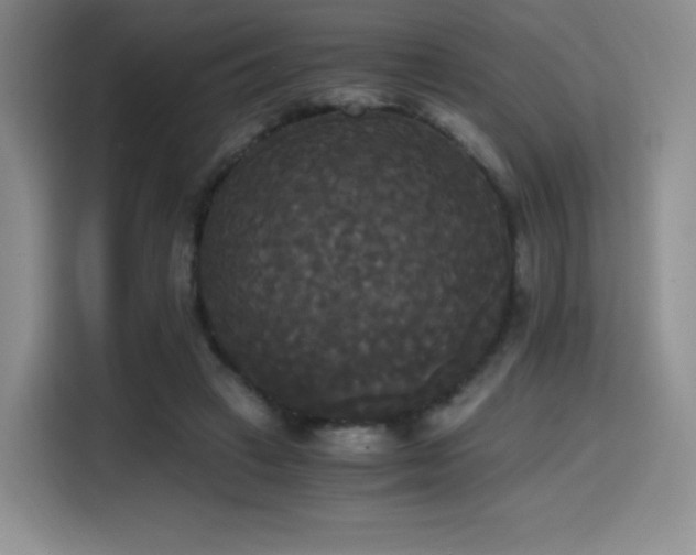 X0000114590449200910191600