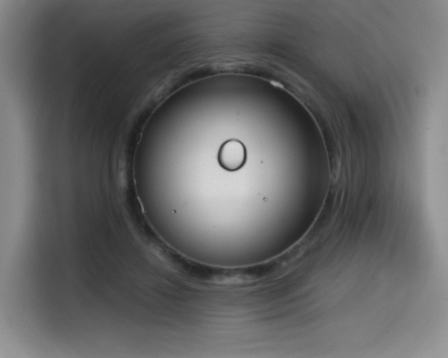X0000114590452200910191600