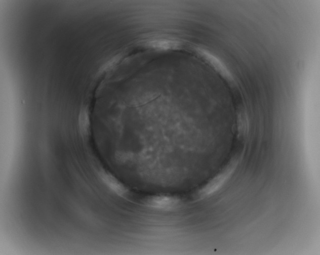 X0000114590453200910191600