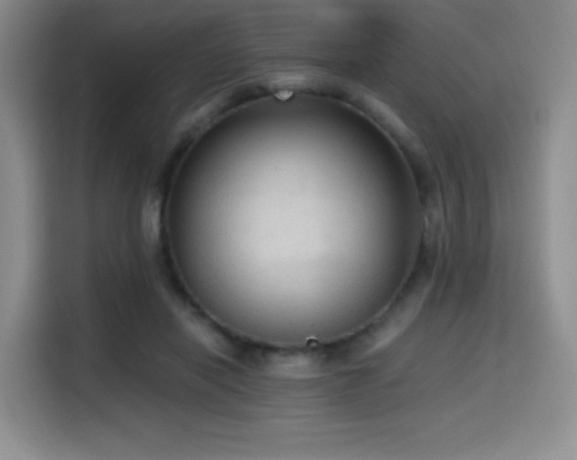 X0000114590454200910191600