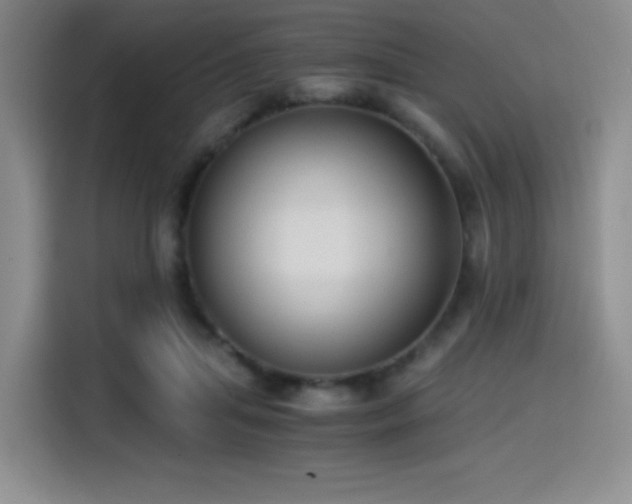 X0000114590455200910191600