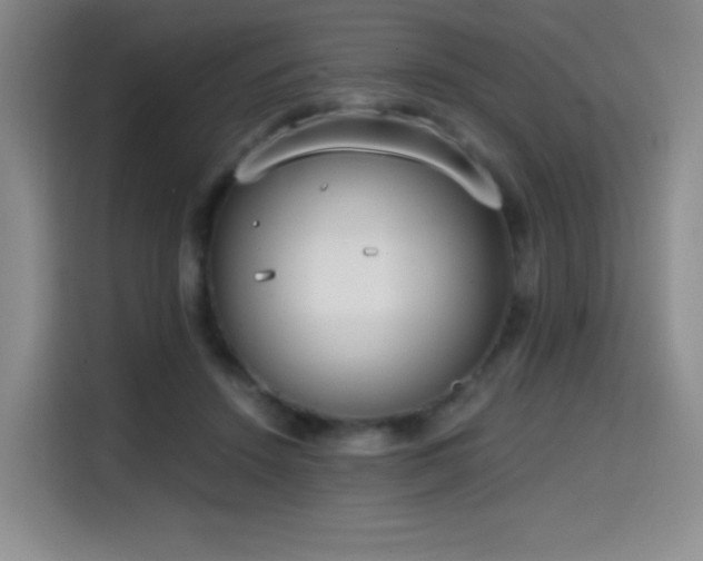 X0000114590456200910191600