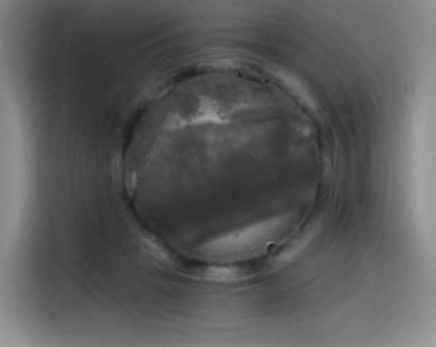 X0000114590457200910191600
