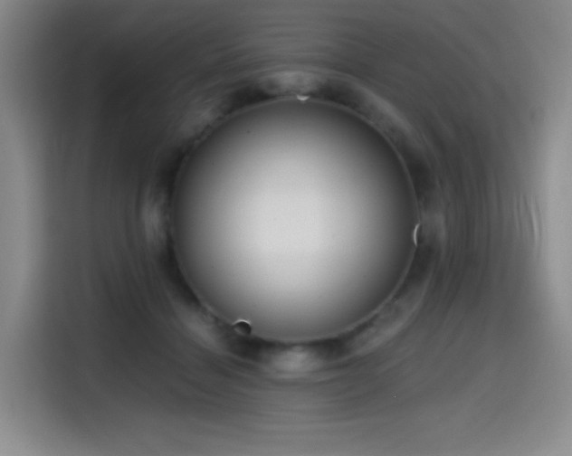 X0000114590460200910191600