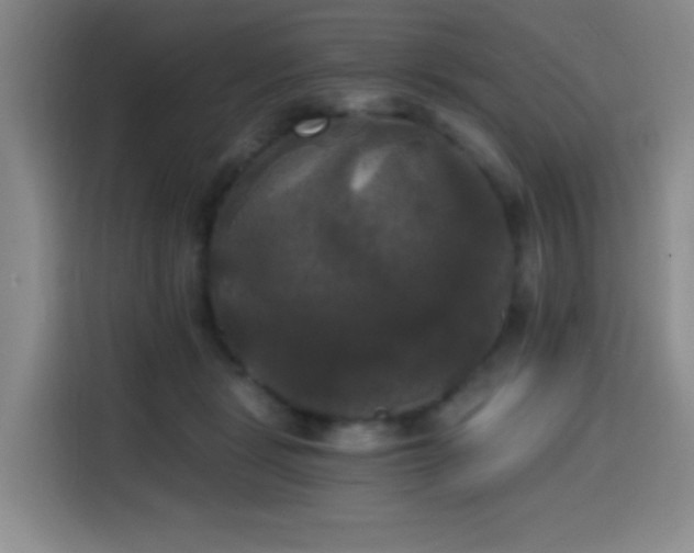 X0000114590461200910191600