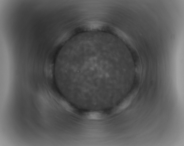 X0000114590462200910191600