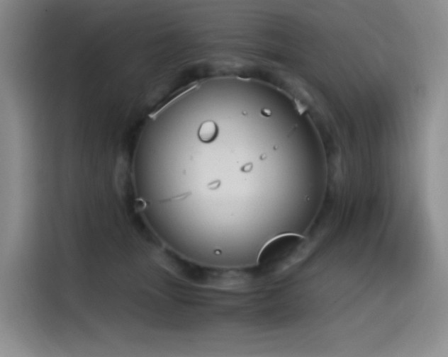 X0000114590463200910191600