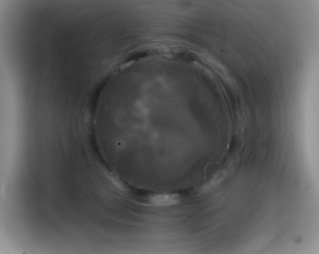X0000114590465200910191600