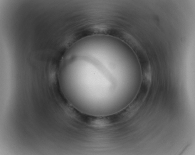 X0000114590468200910191600