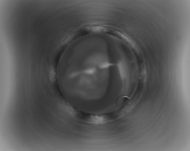 X0000114590469200910191600