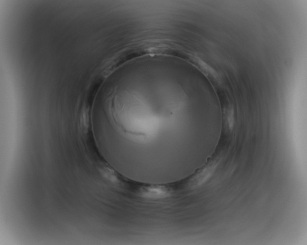 X0000114590475200910191601