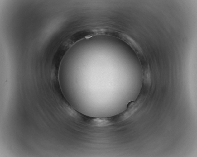 X0000114590477200910191601