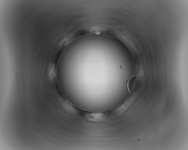 X0000114590478200910191601