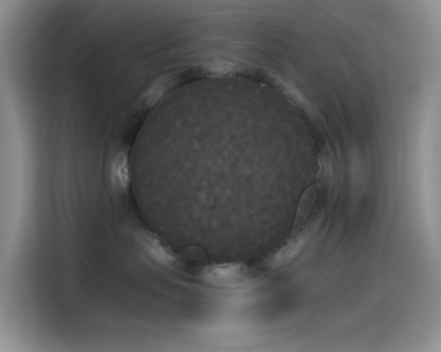 X0000114590479200910191601