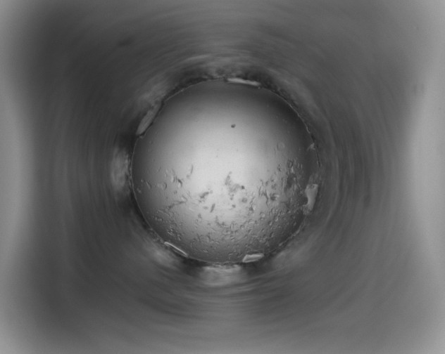 X0000114590480200910191601