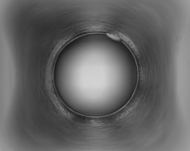 X0000114590481200910191600
