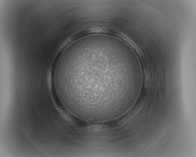 X0000114590482200910191600