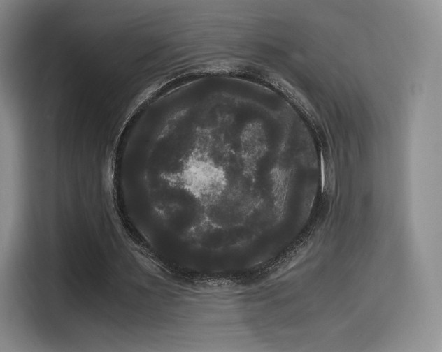 X0000114590483200910191600