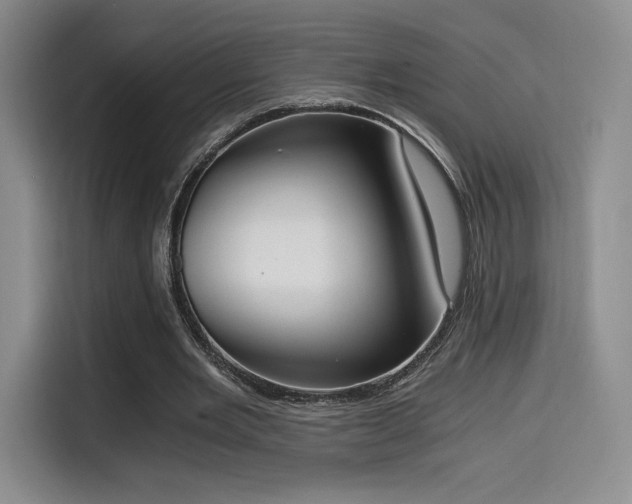 X0000114590485200910191600