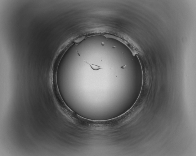 X0000114590486200910191600