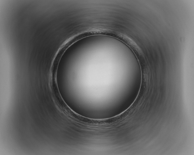 X0000114590488200910191600
