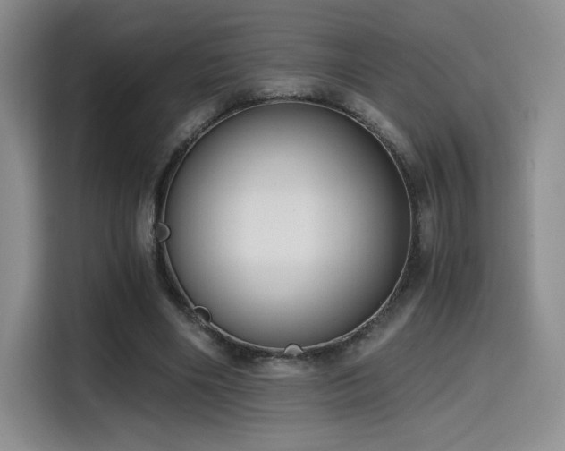 X0000114590490200910191600