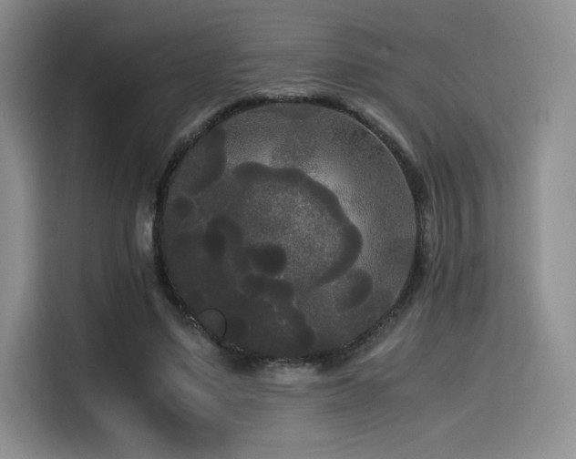 X0000114590491200910191600