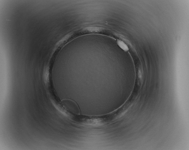 X0000114590492200910191600