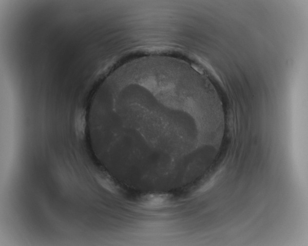 X0000114590495200910191600