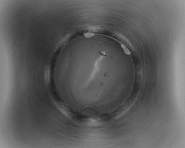 X0000114590496200910191600