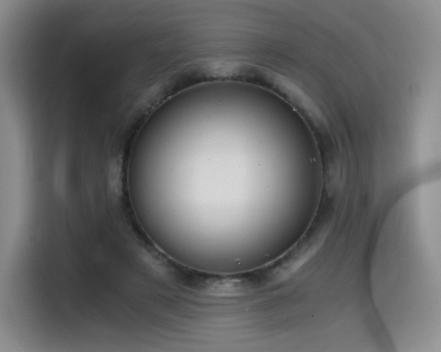 X0000114590497200910191600