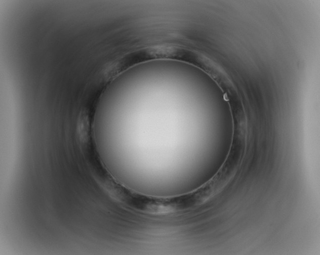 X0000114590498200910191600