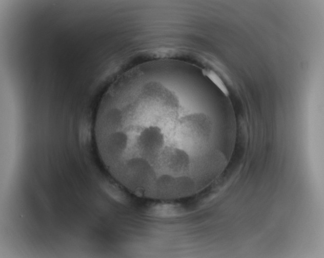 X0000114590499200910191600