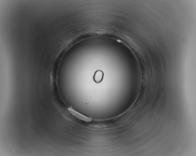 X0000114590500200910191600
